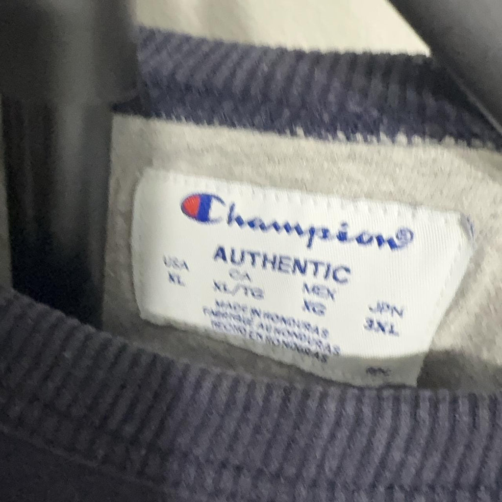 Champion Men's Navy and Blue Sweatshirt