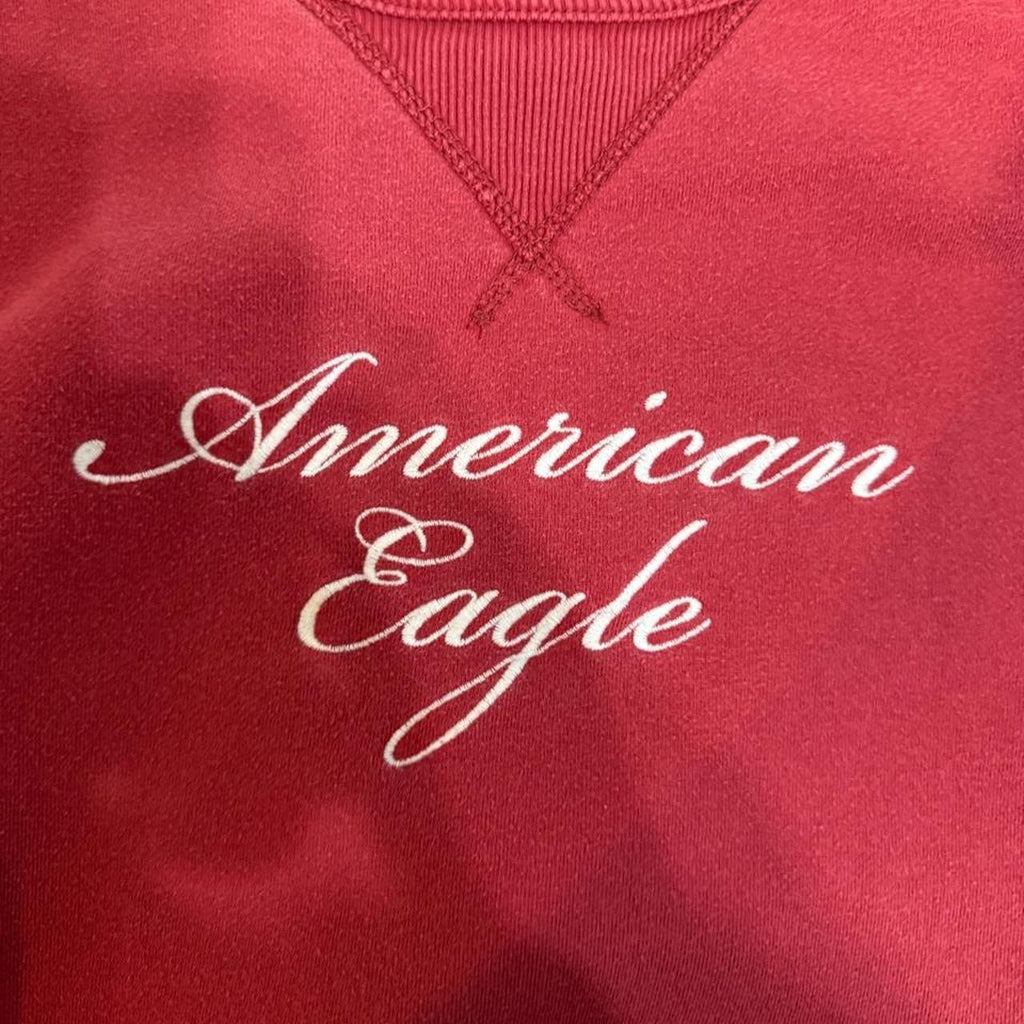 American Eagle Men's Red and Burgundy Hoody